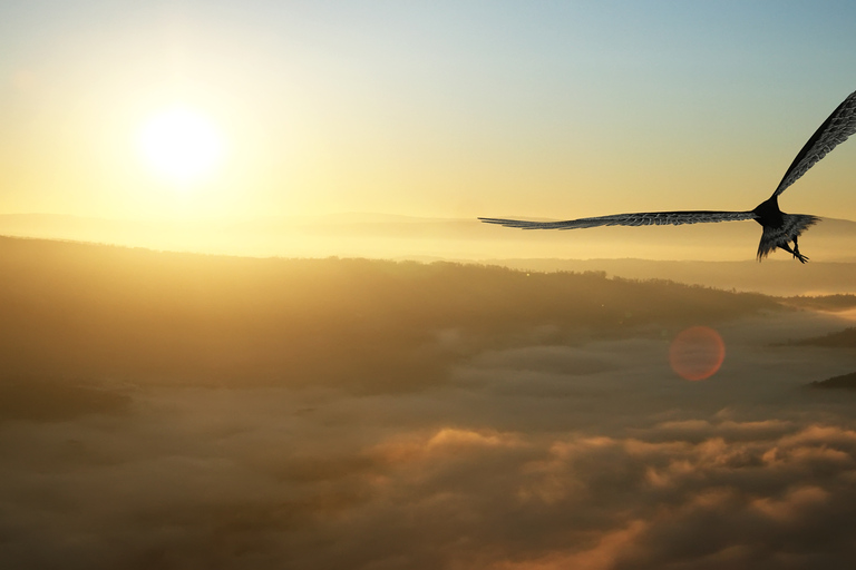 Alaska: Kenai Fjords & Denali National Park 5 Day Adventure Triple Occupancy Room