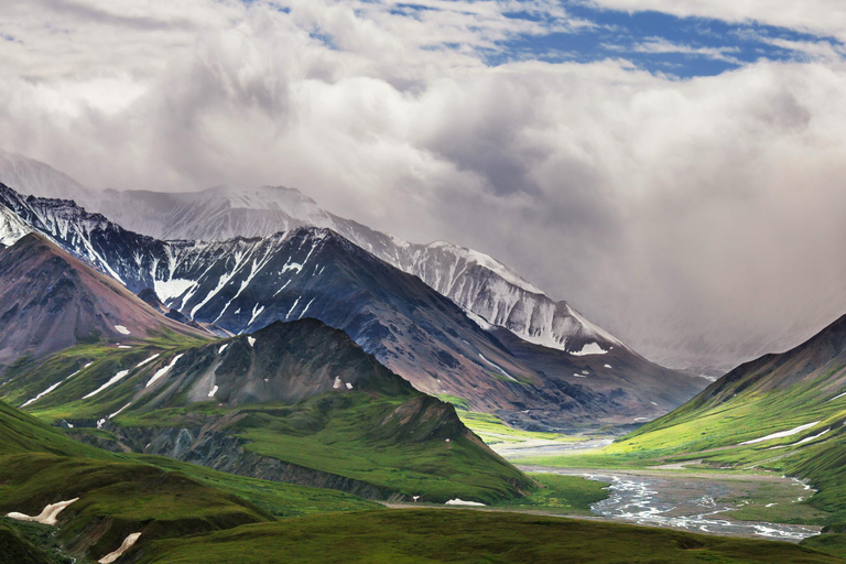 Alaska: Kenai Fjords & Denali National Park 5 Day Adventure Triple Occupancy Room