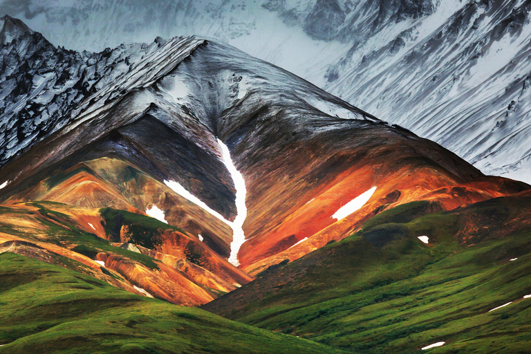 Alaska: Kenai Fjords & Denali National Park 5 Day Adventure Triple Occupancy Room