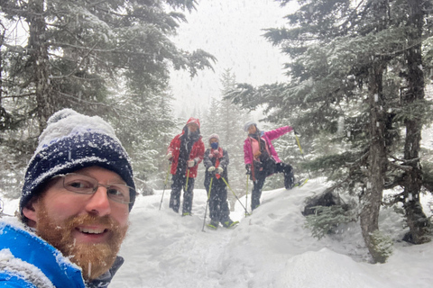 Guided Snowshoeing Adventure from Seward, Alaska 6-Hour Tour