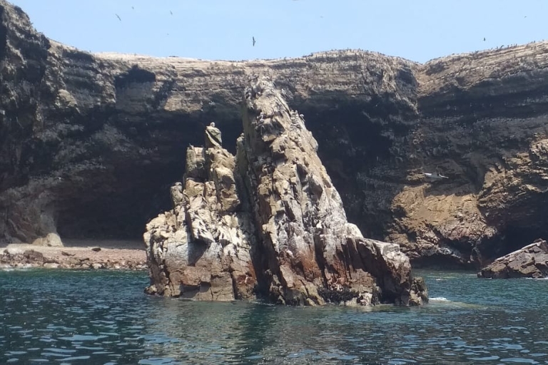 Van Lima: Ballestas Island en Paracas Reserve Private Tour