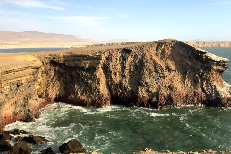 From Lima: Ballestas Island and Paracas Reserve Private Tour