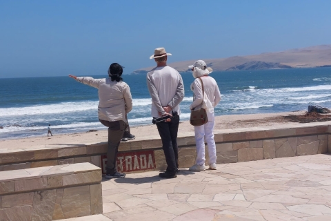De Lima: visite privée de l'île Ballestas et de la réserve de Paracas