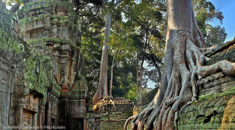Siem Reap: Angkor Wat: tour al amanecer en grupos pequeños