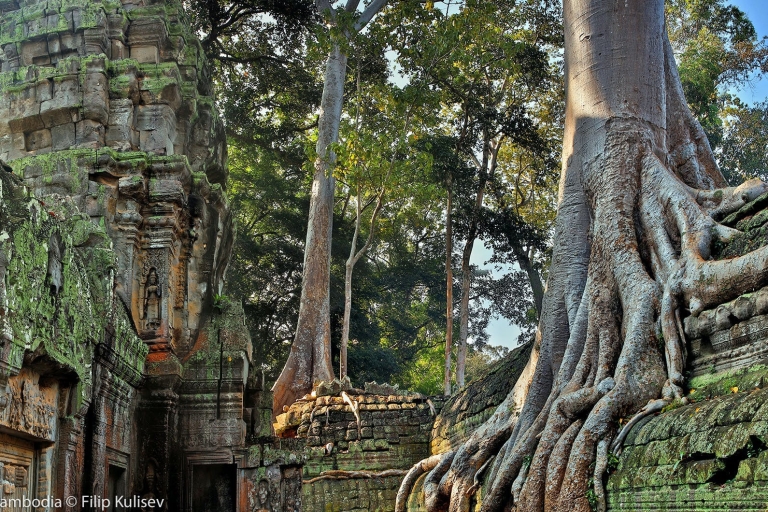 Angkor Wat: Wycieczka w małej grupie o wschodzie słońca bez tłumów
