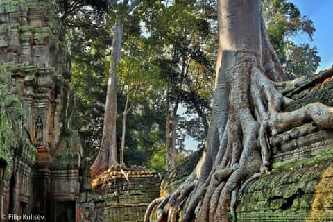 Siem Reap: Angkor Wat: Small-Group Sunrise Tour