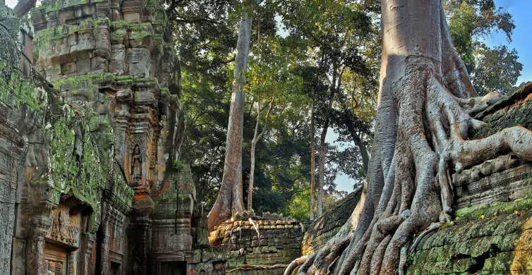 Siem Reap Angkor Wat Small Group Sunrise Tour GetYourGuide