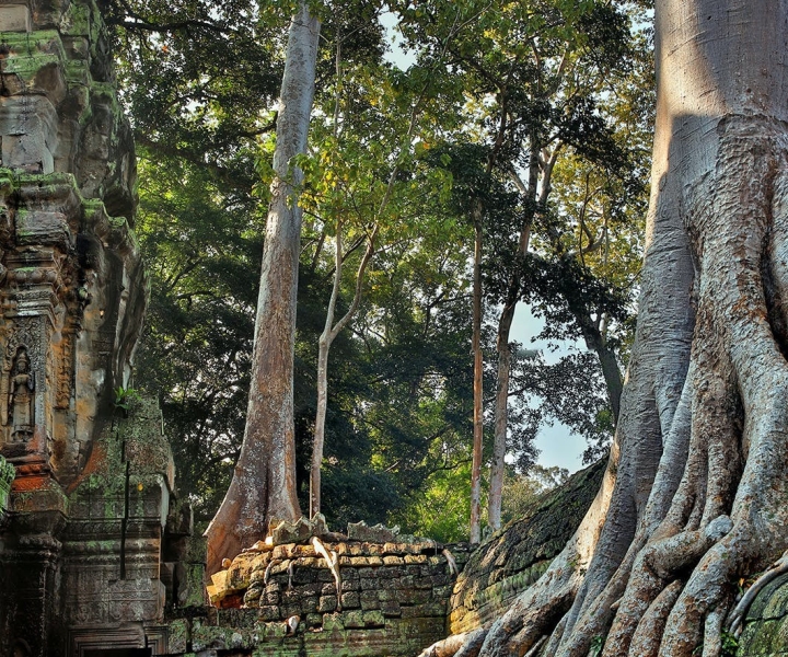 Siem Reap: Angkor Wat: tour all'alba per piccoli gruppi