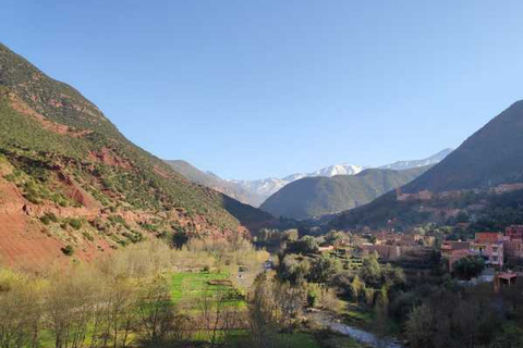 Excursion d'une journée dans la vallée de l'ourika à partir de marrakech avec un groupe