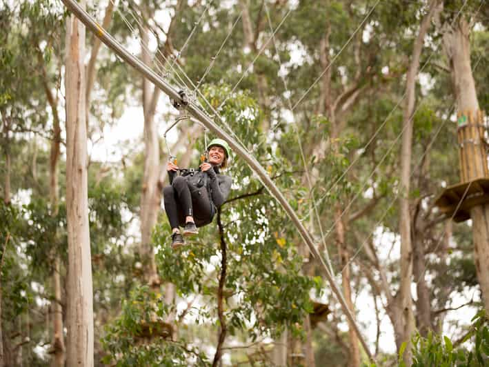 Lorne Live Wire Park Ticket with Zip Line Rollercoaster GetYourGuide