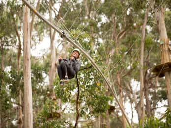 Лорн: Билет в парк Live Wire с американскими горками Zip Line