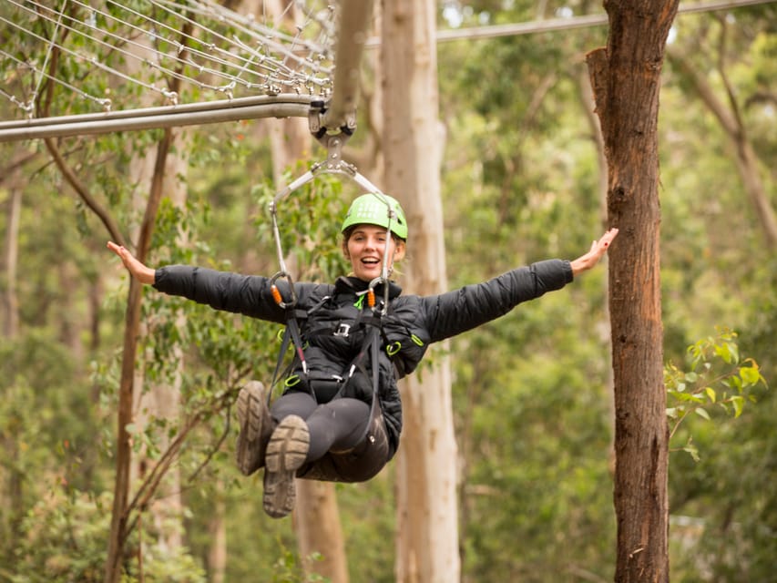 Lorne Live Wire Park Ticket with Zip Line Rollercoaster