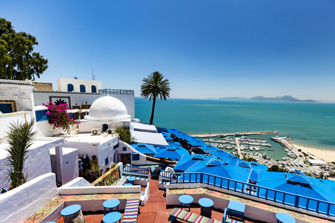 Tunis: Carthago, Sidi Bou Said en Medina privétour