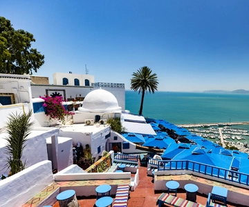 Tunis: Carthage, Sidi Bou Said & Medina Private Day Tour
