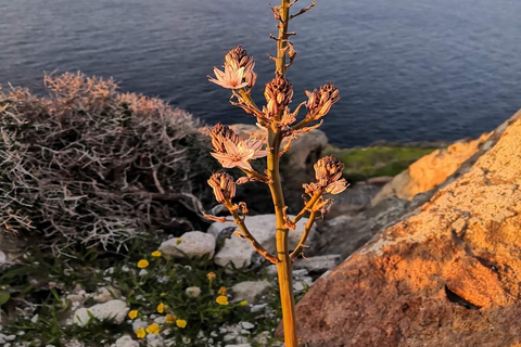 Geführter Binnenfischerei-Tourismus mit Meeresfrüchte-DinnerSantorini: Sonnenuntergangstour im Landesinneren mit Abendessen vor Ort & Transfers