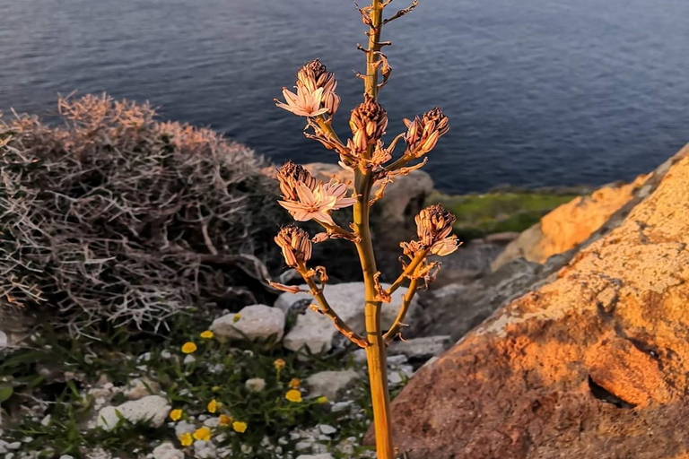 Geführter Binnenfischerei-Tourismus mit Meeresfrüchte-DinnerSantorini: Sonnenuntergangstour im Landesinneren mit Abendessen vor Ort & Transfers