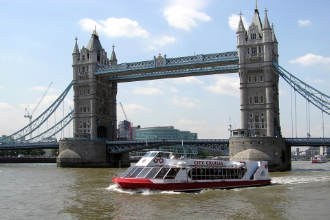 Londyn: wycieczka piesza po Harrym Potterze i wejście do Tower of London