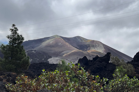 La Palma: Tacande Volcanic Landscape Tour