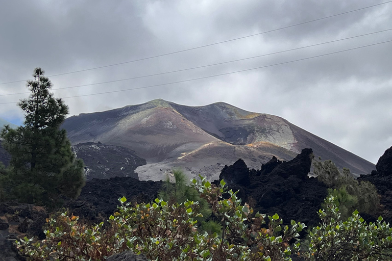 La Palma: Rundtur i det vulkaniska landskapet i TacandeLa Palma: Tacande vulkanlandskapstur