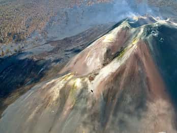 La Palma: Tacande Volcanic Landscape Tour