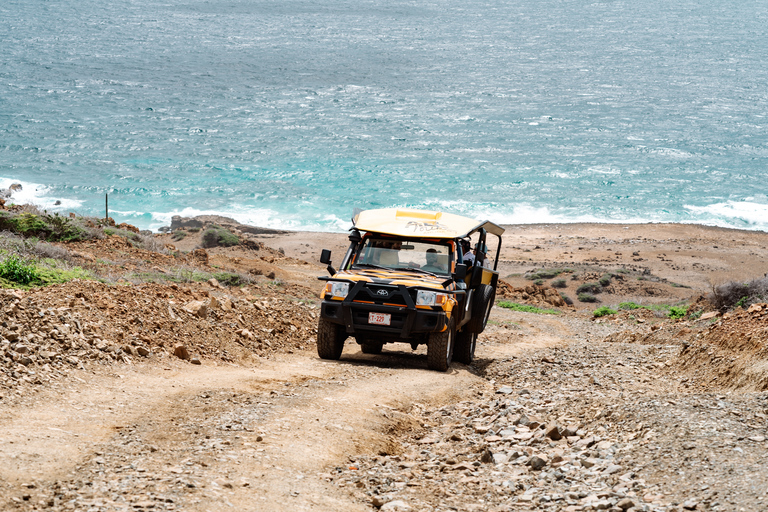 从奥拉涅斯塔德出发：岛屿吉普车一日游从奥拉涅斯塔德出发：全日岛屿吉普车野生动物园之旅