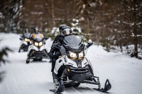 Laurentian Mountains: Guided Snowmobile Experience