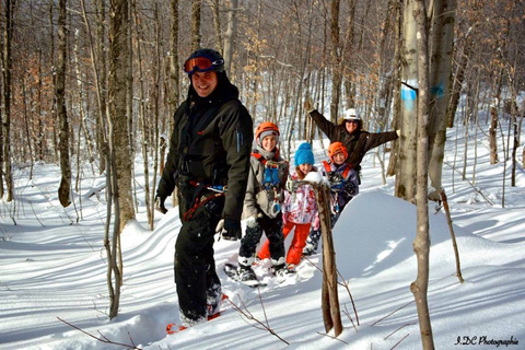 Tyroparc: Mega Ziplines and Hiking in the Laurentians Winter: 2 Mega Ziplines and Hiking