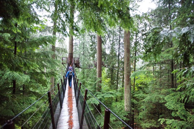 Visit Small group tour of Capilano Bridge & Grouse Mountain in Vancouver
