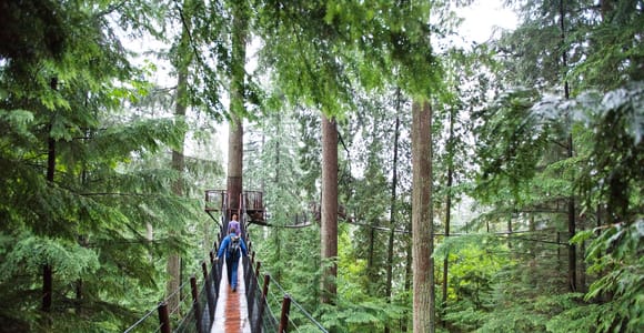 20 Best Things to Do in Vancouver