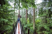 Excursión en grupo pequeño por el Puente Capilano y la Montaña Grouse - Hizvo