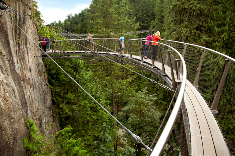 Tour per piccoli gruppi di Capilano Bridge e Grouse MountainGiro di gruppo