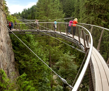 Small group tour of Capilano Bridge & Grouse Mountain