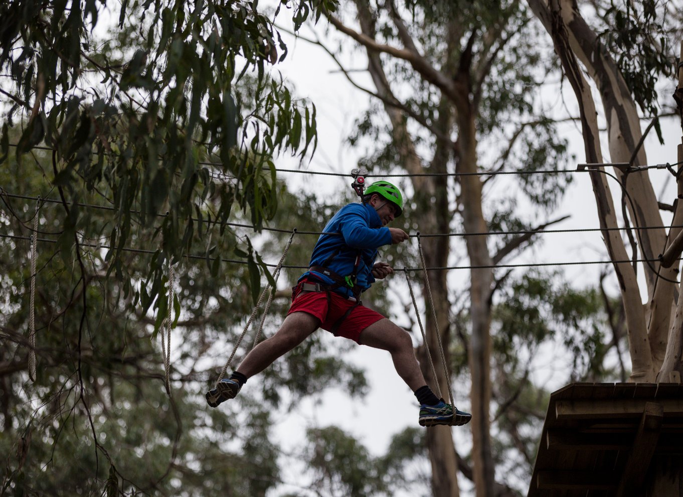 Lorne: Live Wire Park Super Circuit Ticket