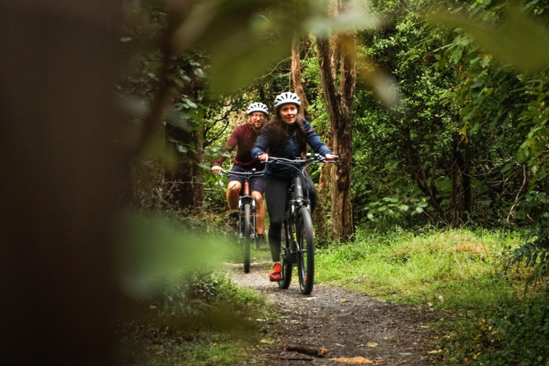 Wellington: Remutaka Rail Trail-fietstochtWellington: Remutaka Rail Trail Mountainbike-dagtrip