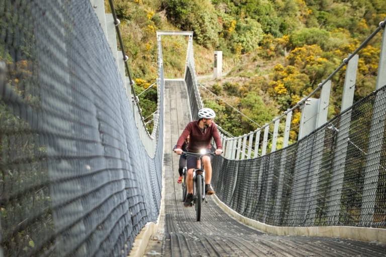 Wellington: Wycieczka rowerowa szlakiem kolejowym RemutakaWellington: Remutaka Rail Trail Mountain Bike Day Trip