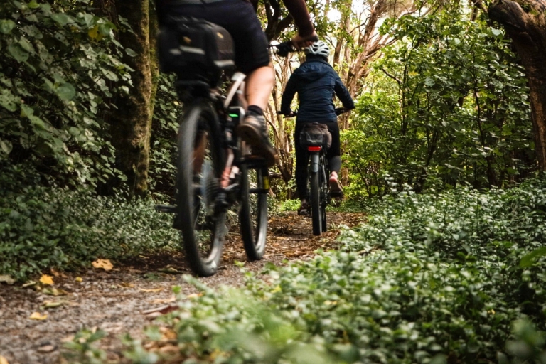 Wellington: recorrido en bicicleta por el sendero ferroviario RemutakaWellington: viaje de un día en bicicleta de montaña por el sendero Remutaka Rail Trail