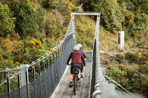 Wellington: Wycieczka rowerowa szlakiem kolejowym RemutakaWellington: Remutaka Rail Trail Mountain Bike Day Trip