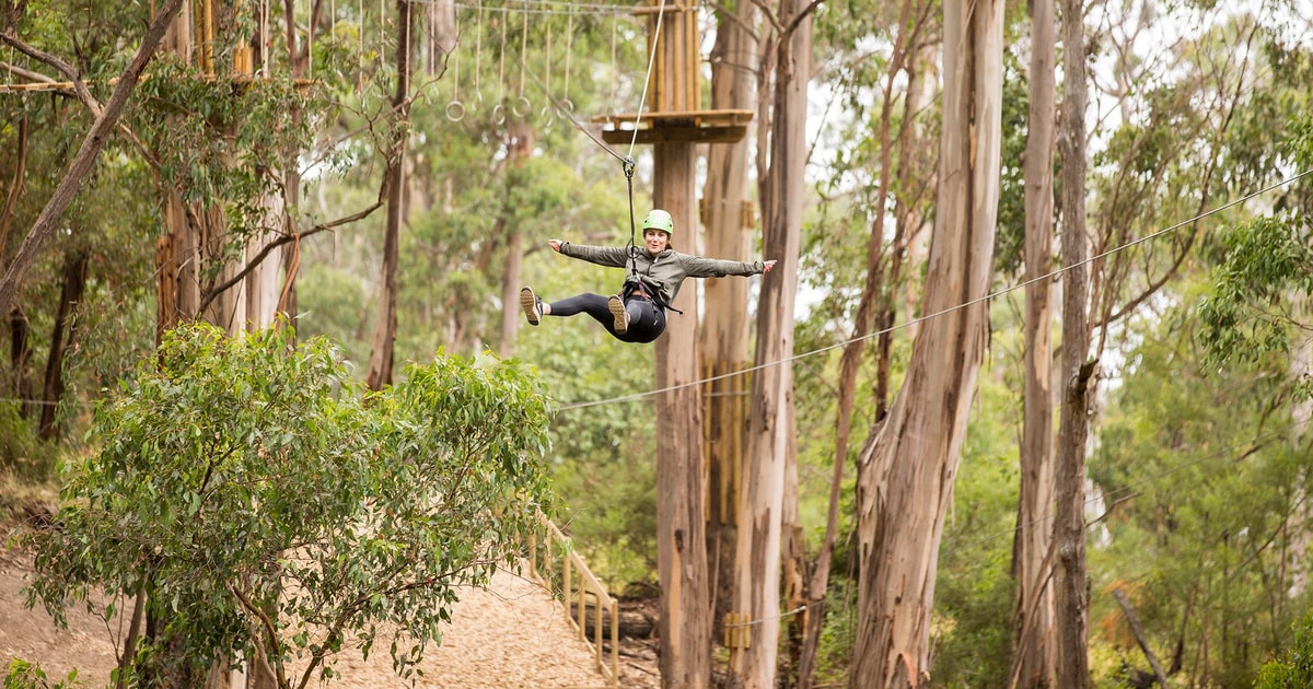 Lorne Live Wire Park Super Circuit Ticket GetYourGuide