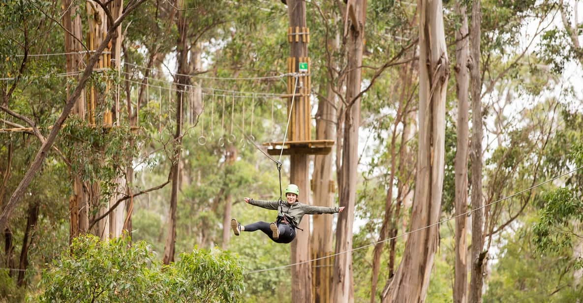 Lorne: Live Wire Park Super Circuit Ticket | GetYourGuide