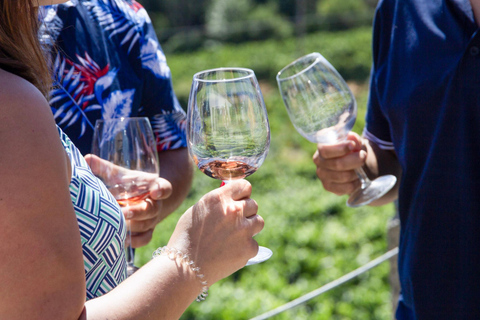 Oporto: Valle del Duero: Una auténtica experiencia vinícola con almuerzo