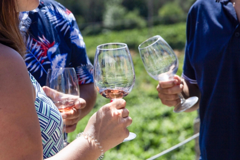 Porto: Dourovallei: een authentieke wijnervaring met lunchRondleiding in het Engels met Meeting Point