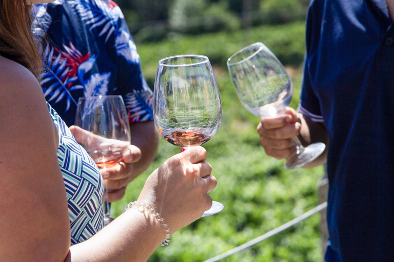 Porto: Experiência autêntica de vinho no Vale do Douro com almoço