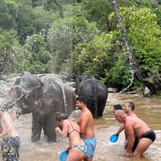 Chiang Mai Elefanten Schutzgebiet Wasserfall Gruppenreise Getyourguide