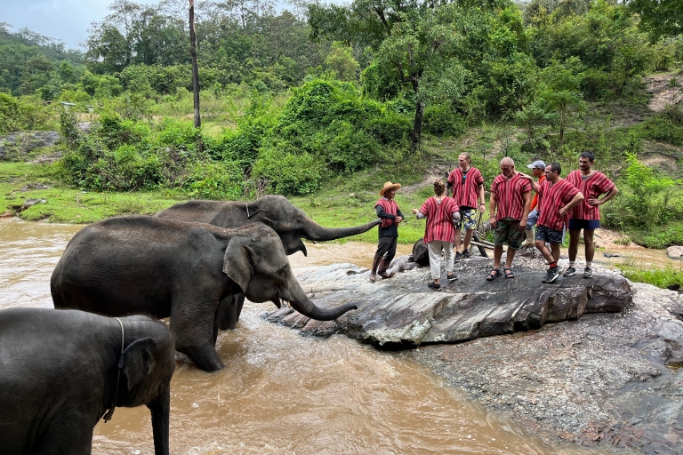 Chiang Mai: visite en petit groupe du sanctuaire des éléphants et de la cascadeVisite avec ramassage à l'hôtel