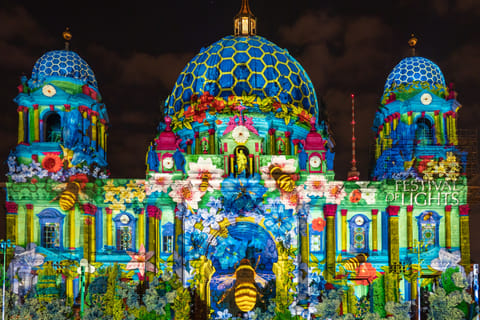 Berlin: Festival of Lights & Sightseeing Private Tour by Car