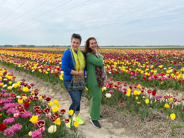 Keukenhof, Tulip Farm, Flower Fields &amp; Windmills