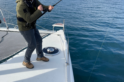 Tromsø : croisière privée en catamaran dans le fjord arctique