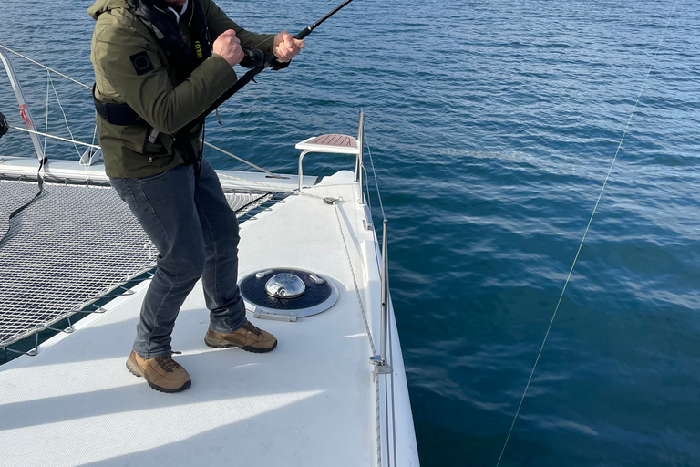 Tromsø: Arctic Fjord Sightseeing Cruise in Luxury Catamaran