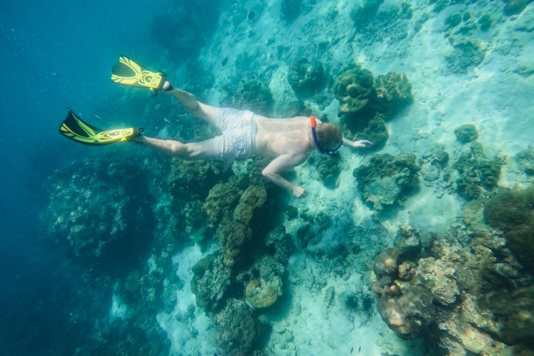 Khao Lak : snorkeling et hors-bord aux îles Phi Phi