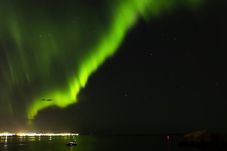 Von Reykjavik aus: Neujahrsfeuerwerk mit dem BootAus Reykjavik: Neujahrsfeuerwerk von Boa